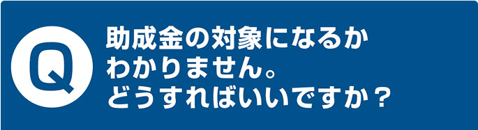 助成金の対象になるか わかりません。 どうすればいいですか？
