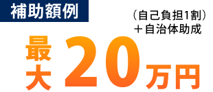 補助額例：最大20万円（自己負担1割）＋自治体助成